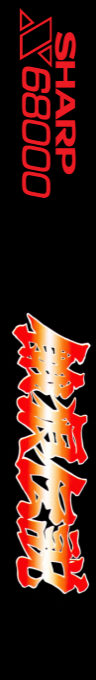 Garou Densetsu — box-2D-side (SS)