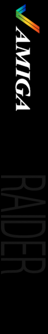 Raider — box-2D-side (WOR)