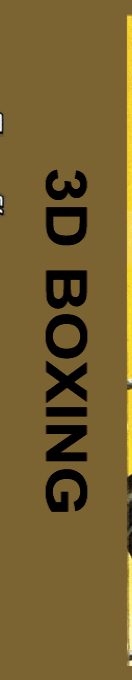 3D Boxing — box-2D-side (EU)