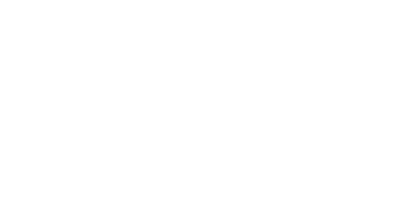 Airline — wheel-hd (WOR)