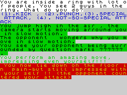 Deadly Warriors The Adventure — ss (WOR)
