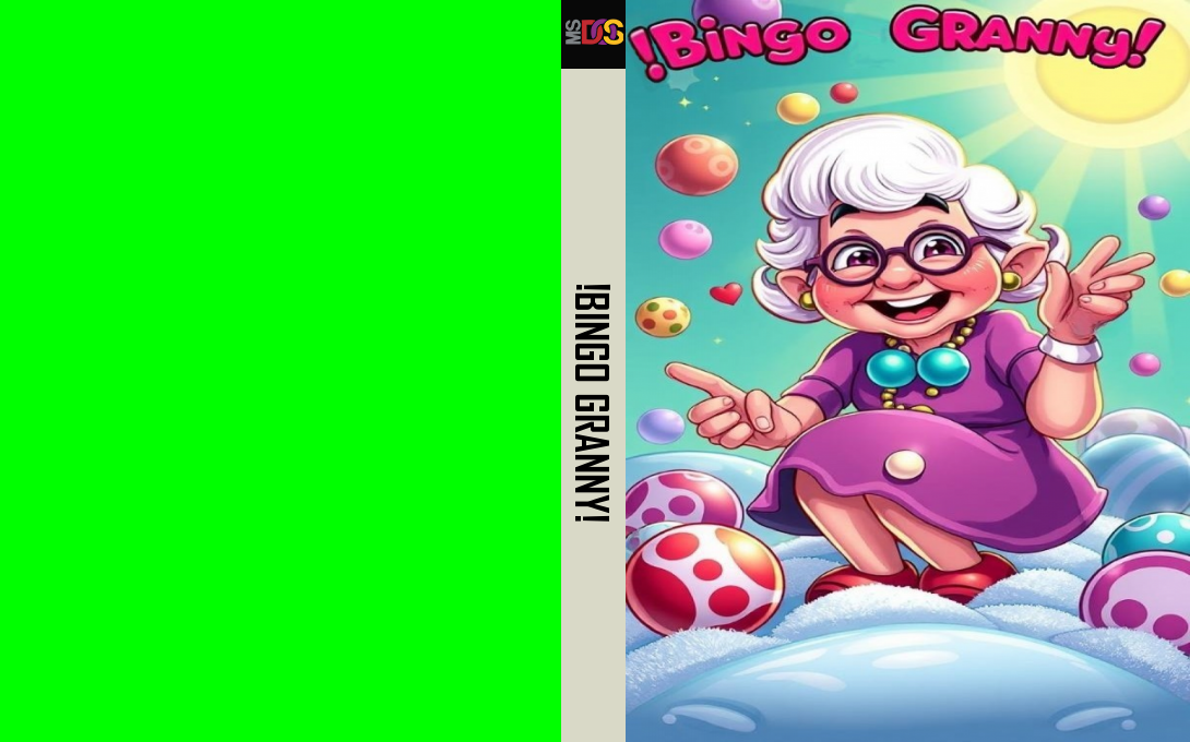 !Bingo Granny! — box-texture (WOR)