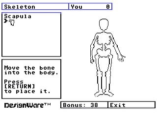 The Body Transparent — ss (WOR)