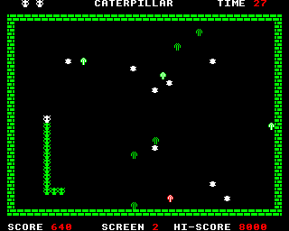 Caterpillar — ss (WOR)