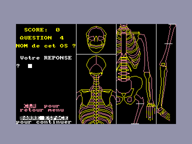 Squelette — ss (FR)