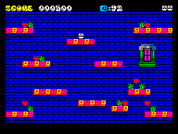 Bomber Pengo — ss (WOR)