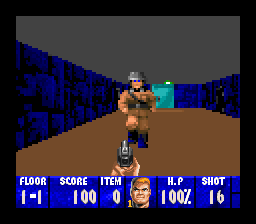 Wolfenstein 3D — ss (WOR)