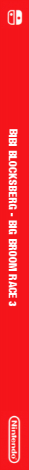 Bibi Blocksberg - Big Broom Race 3 — box-2D-side (EU)