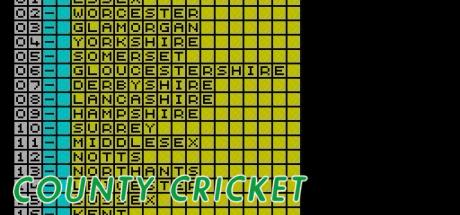 County Cricket — steamgrid
