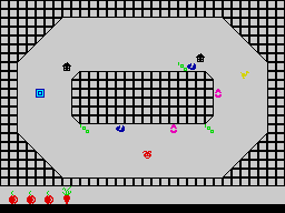 Bunny — ss (WOR)