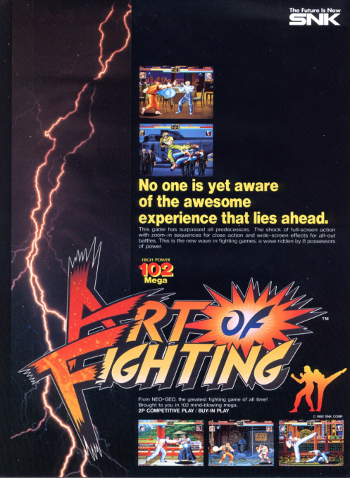 Fit Of Fighting box art