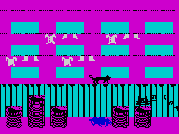 Misifu Alley Cat — ss (EU)