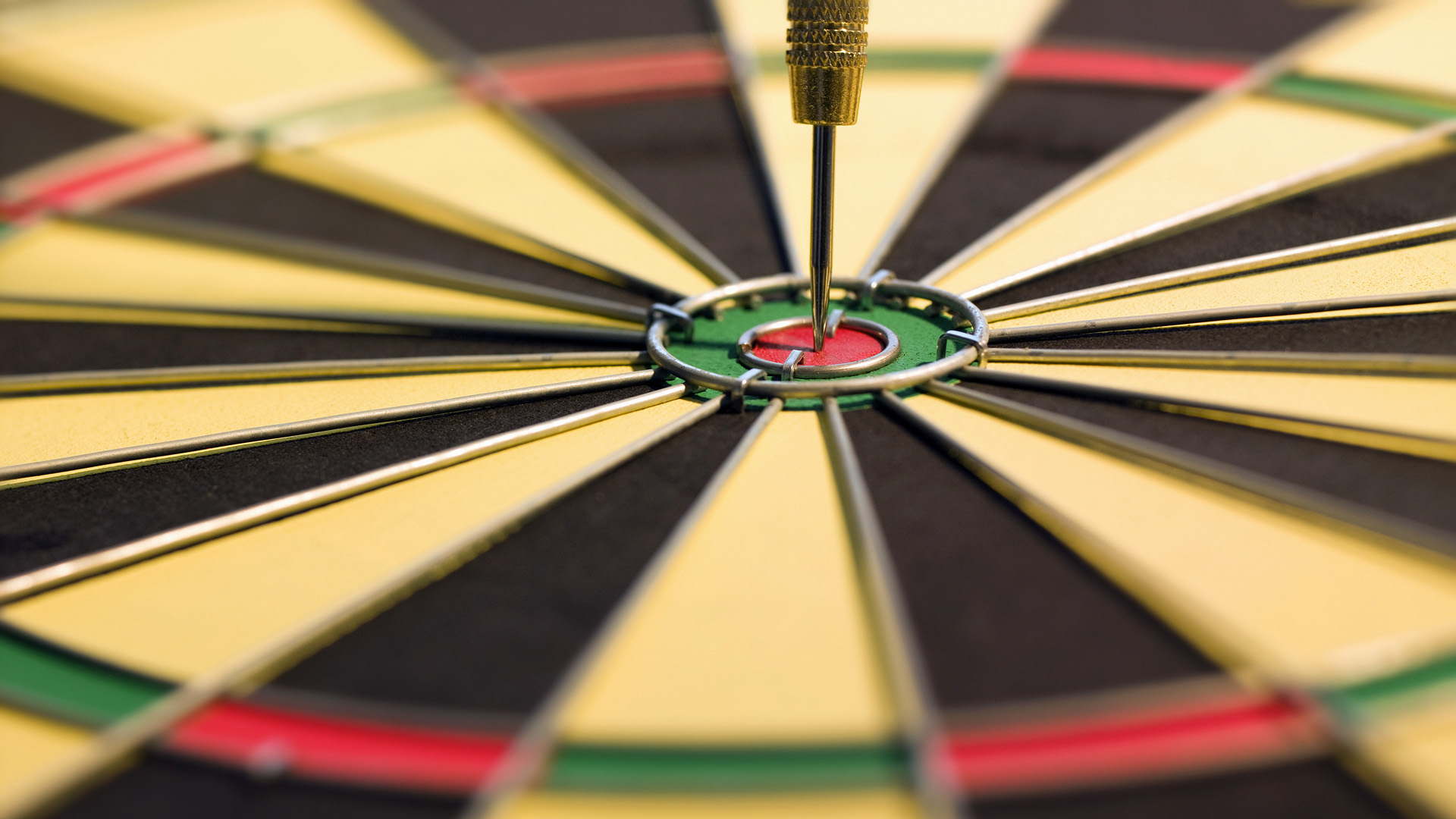 PDC World Championship Darts 2008 — fanart