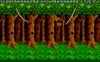 Jungle Boy — ss (WOR)