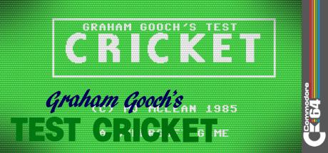Graham Gooch's Test Cricket — steamgrid