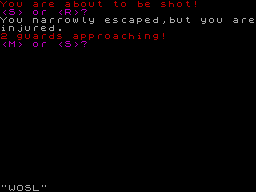 Mini Bank Raid — ss (WOR)