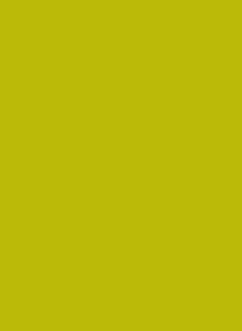 Road Toad — box-2D-back (WOR)