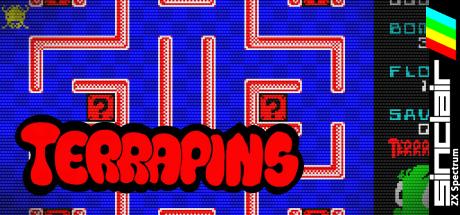 Terrapins — steamgrid