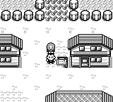 Pokemon Rocket - James Version — ss (WOR)