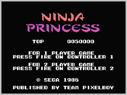 Ninja Princess — sstitle (WOR)