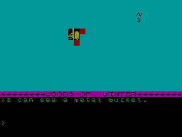 The Woods of Winter — ss (WOR)