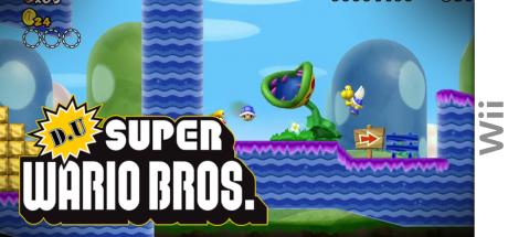 DU Super Wario Bros — steamgrid