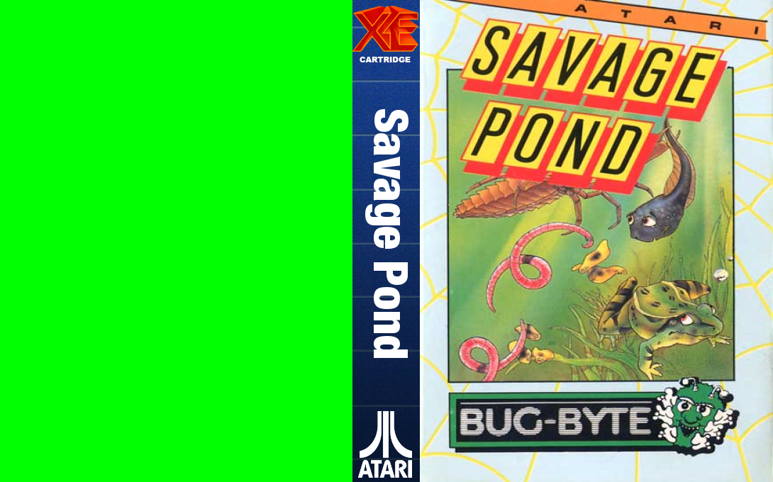 Savage Pond — box-texture (WOR)