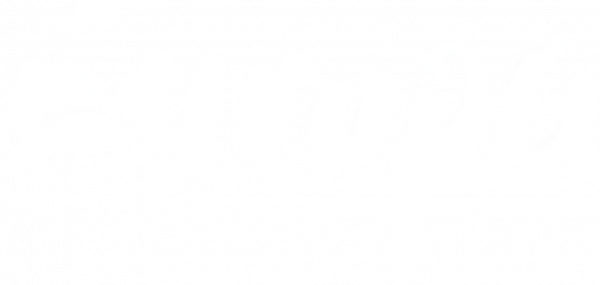 Europa — wheel-hd (WOR)
