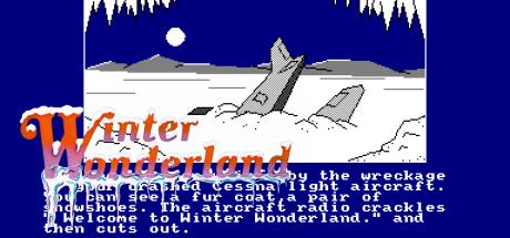 Winter Wonderland — steamgrid