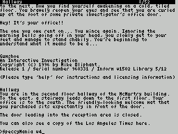 ZxZvm - Gumshoe - An Interactive Investigation — ss (WOR)