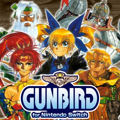 Gunbird For Nintendo Switch — support-texture (CUS)