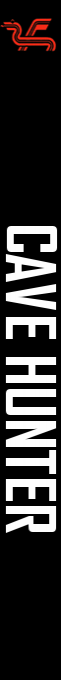 Cave Hunter — box-2D-side (WOR)