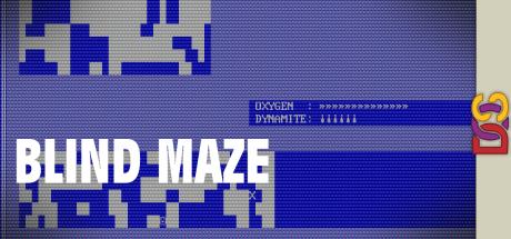 Blind Maze — steamgrid