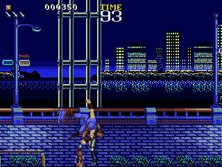 Ninja Gaiden — ss (WOR)