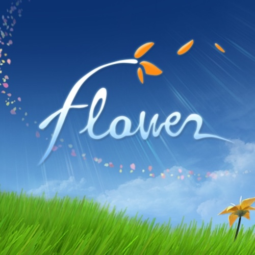 Flower — support-texture (CUS)
