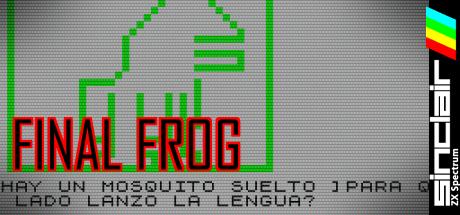 Final Frog — steamgrid
