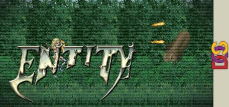 Entity — steamgrid