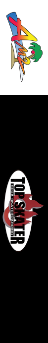 Top Skater — box-2D-side (US)