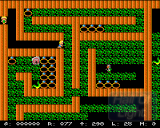 Balder's Grove — ss (WOR)