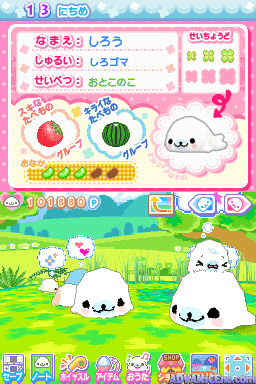 Mamegoma 3 - Kawaii ga Ippai! — ss (WOR)