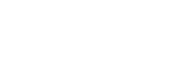 Rayne the Rogue Part II — wheel (WOR)