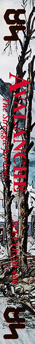 Avalanche - The Struggle For Italy — box-2D-side (EU)
