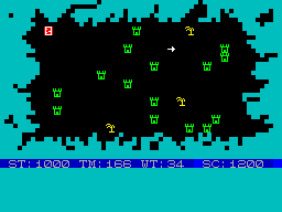 Adventure Island — ss (WOR)