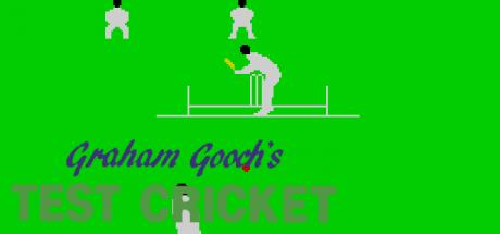 Graham Gooch's Test Cricket — steamgrid