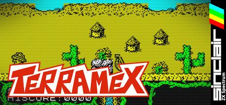 Terramex — steamgrid