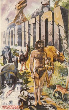 Evolution box art