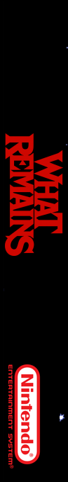 What Remains — box-2D-side (SS)