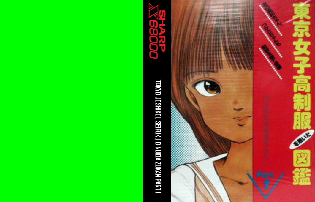 Tokyo Joshikou Seifuku O Nuida Zukan Part 1 — box-texture (JP)