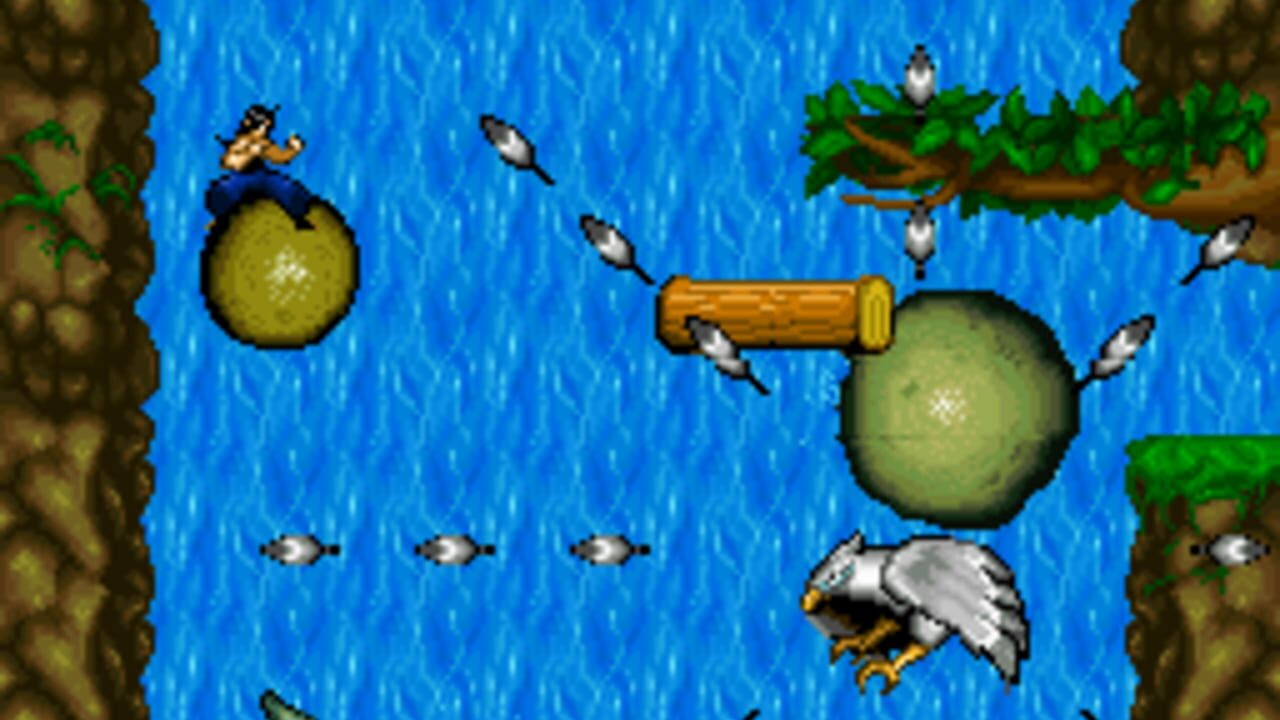 Kung Fu Dragon — screenshot (WOR)