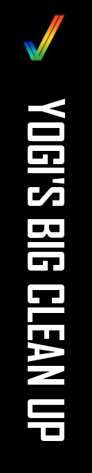 Yogi's Big Clean Up — box-2D-side (CUS)